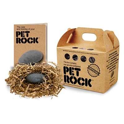 pet rock