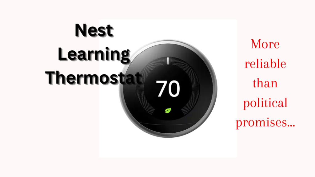 Google Nest Learning Thermostat -More reliable than political promises...