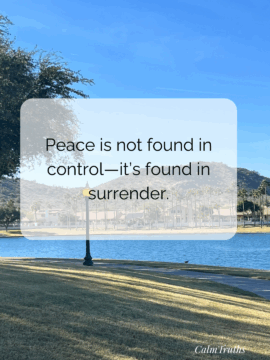 Peace is not found in control